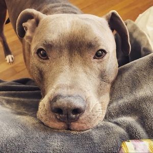 Meet your Posher, Courtney